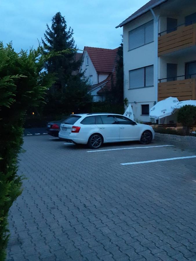 Landgasthof Rose 호텔 딧칭엔 외부 사진