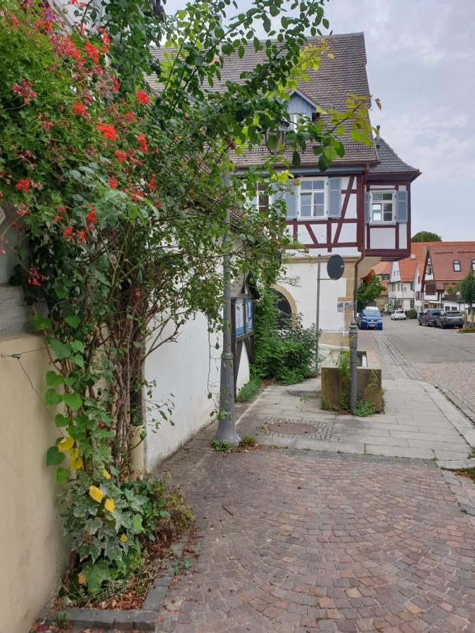 Landgasthof Rose 호텔 딧칭엔 외부 사진